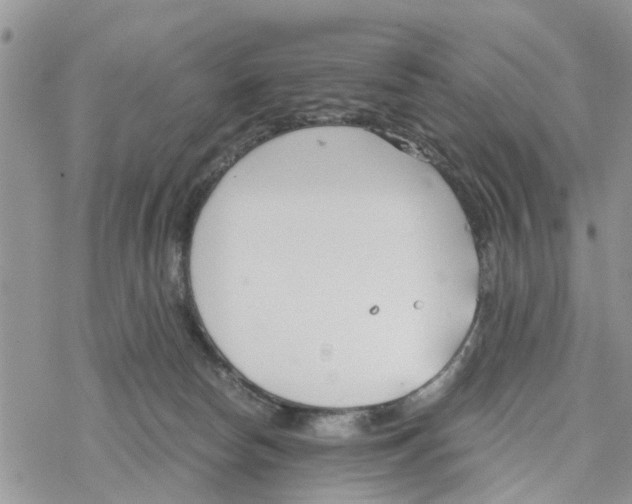 X0000078260178200611251337