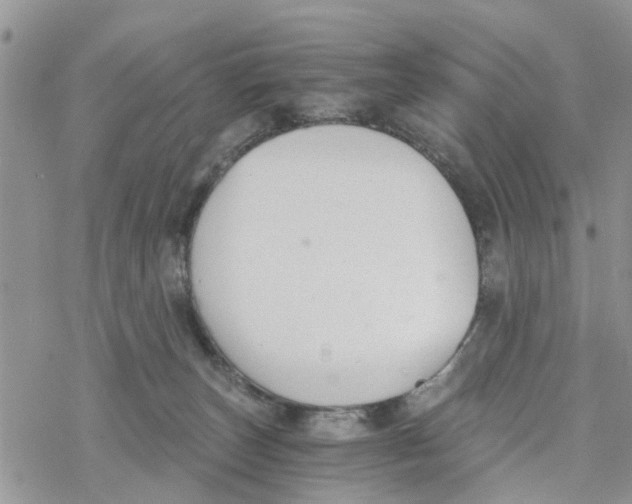 X0000078260179200611251337