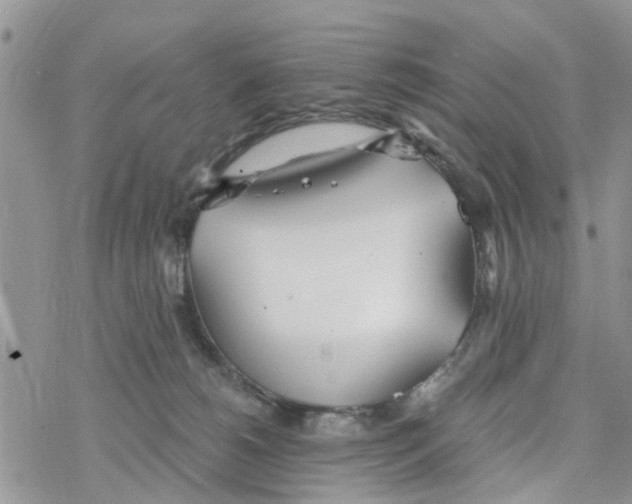 X0000078260180200611251337