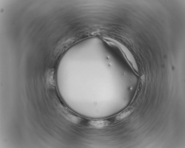 X0000078260181200611251337