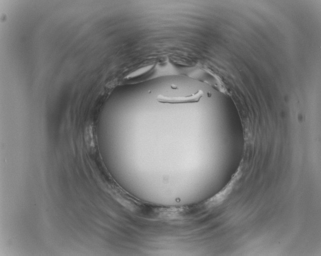 X0000078260182200611251337