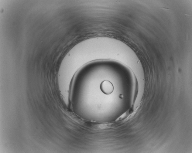 X0000078260184200611251337