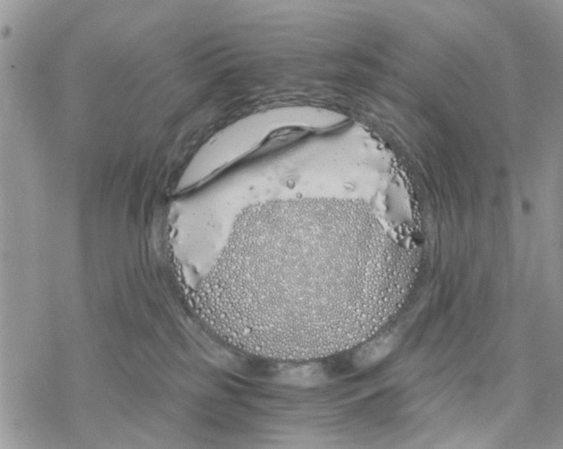 X0000078260185200611251338