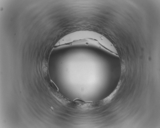 X0000078260186200611251338