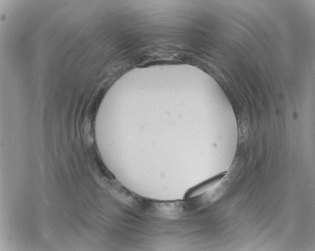 X0000078260187200611251338