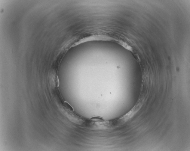 X0000078260188200611251338