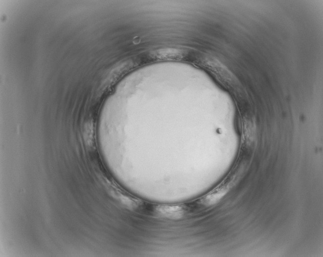 X0000078260189200611251338