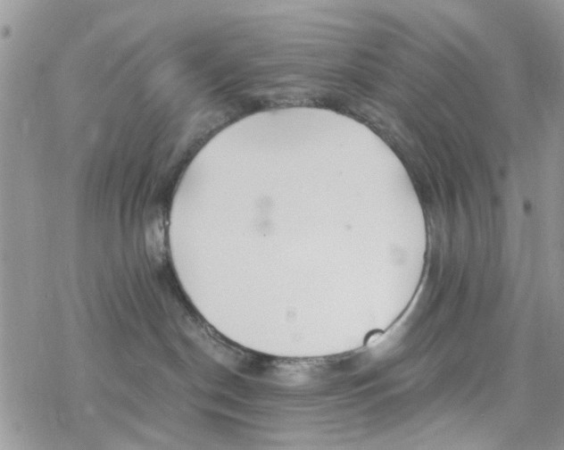 X0000078260190200611251338