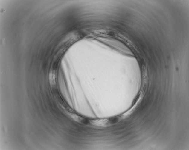 X0000078260191200611251338