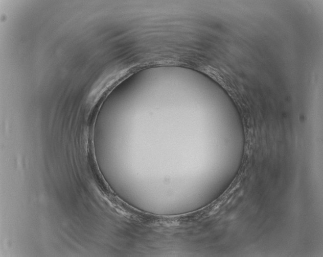 X0000078260194200611251337