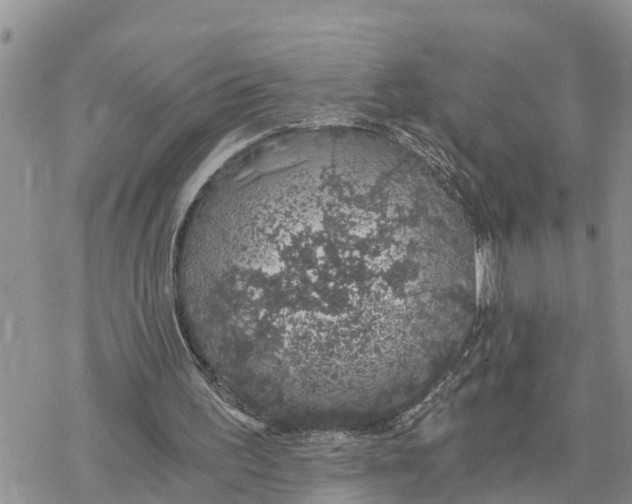 X0000078260195200611251337