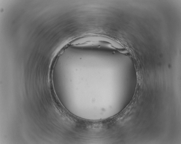 X0000078260196200611251337