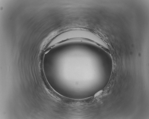 X0000078260197200611251337