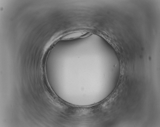 X0000078260198200611251337