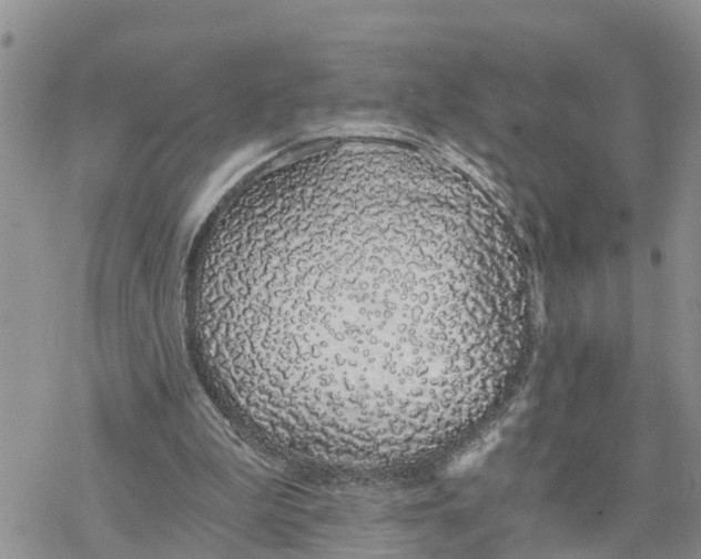 X0000078260199200611251337