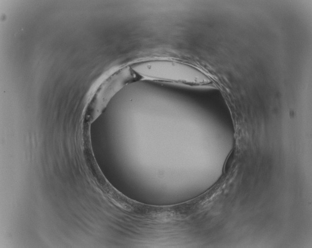 X0000078260200200611251337