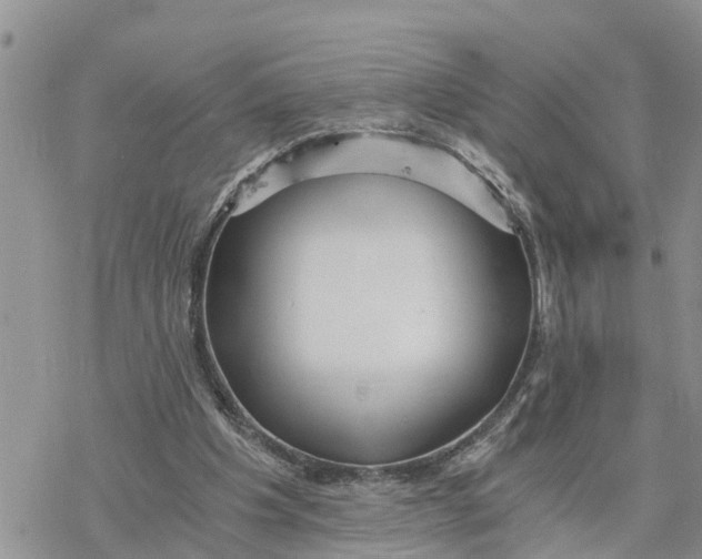 X0000078260201200611251337