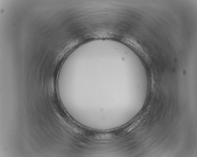 X0000078260202200611251337