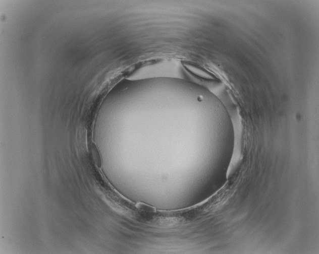 X0000078260205200611251337