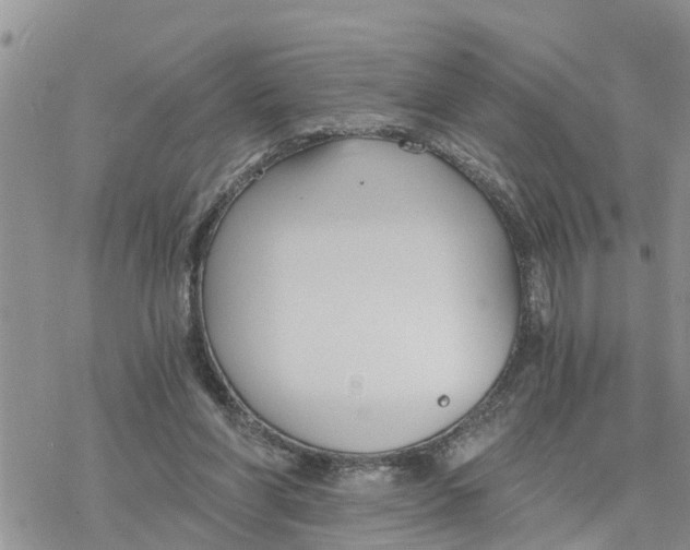 X0000078260206200611251337