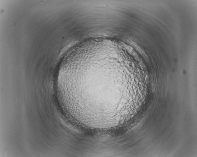 X0000078260207200611251337