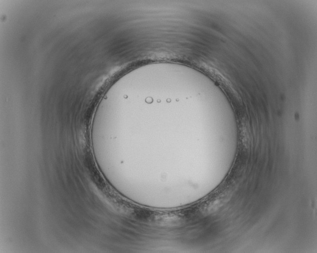 X0000078260208200611251337