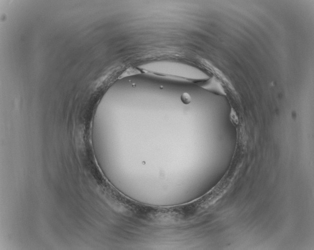 X0000078260209200611251337