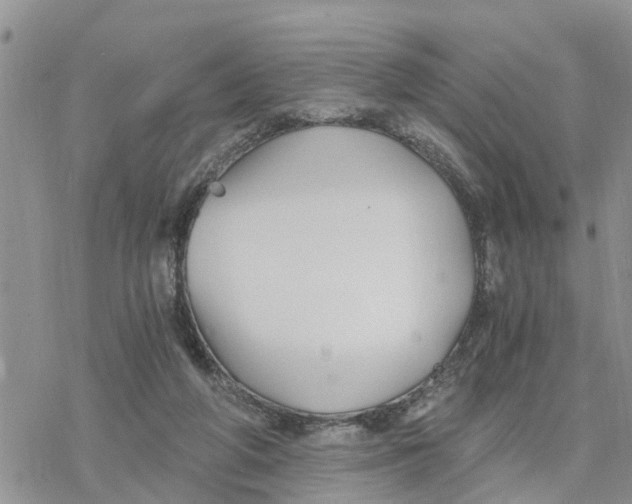 X0000078260210200611251337