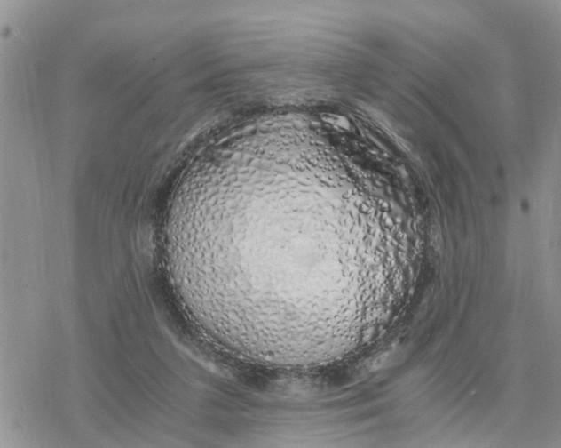 X0000078260211200611251337