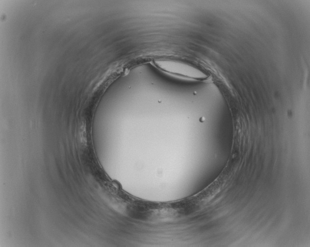 X0000078260212200611251337