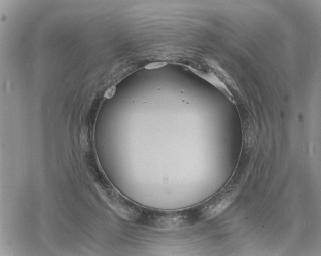 X0000078260213200611251337