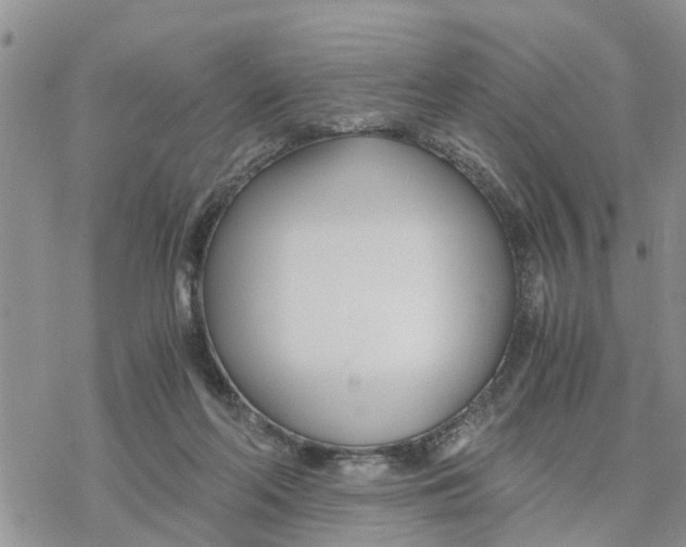 X0000078260214200611251337