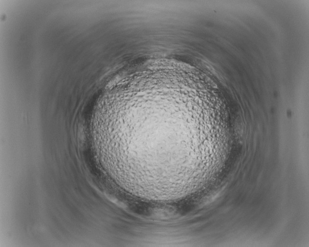 X0000078260215200611251336