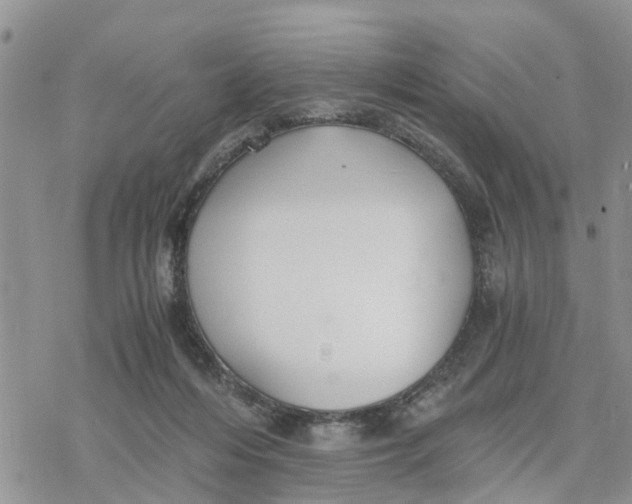 X0000078260216200611251336