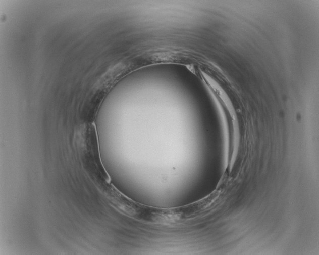 X0000078260217200611251336