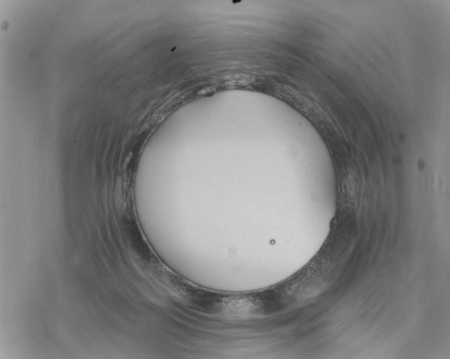 X0000078260218200611251336