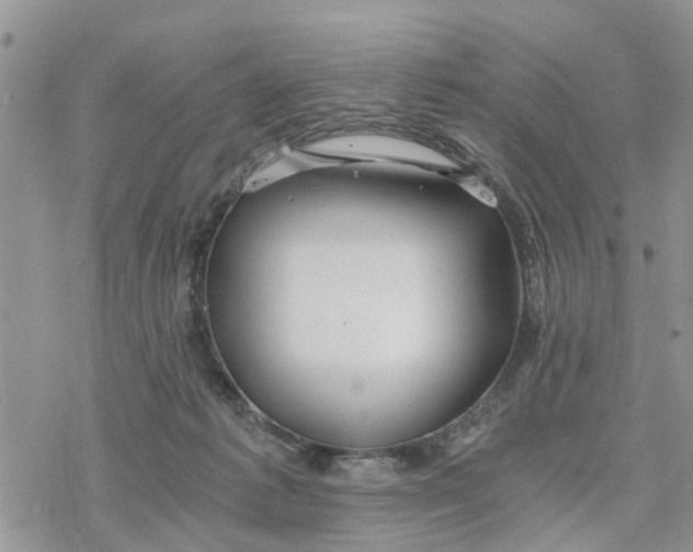 X0000078260221200611251336