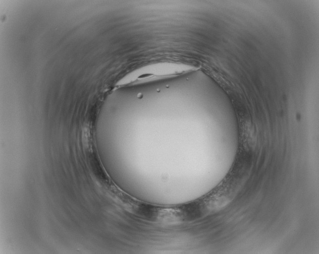 X0000078260222200611251336