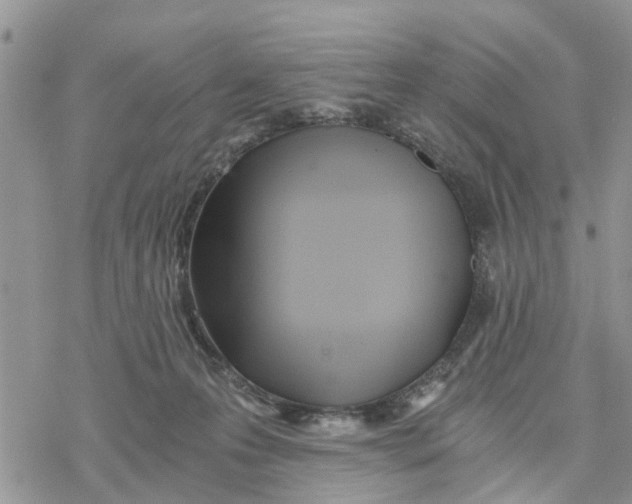 X0000078260223200611251336