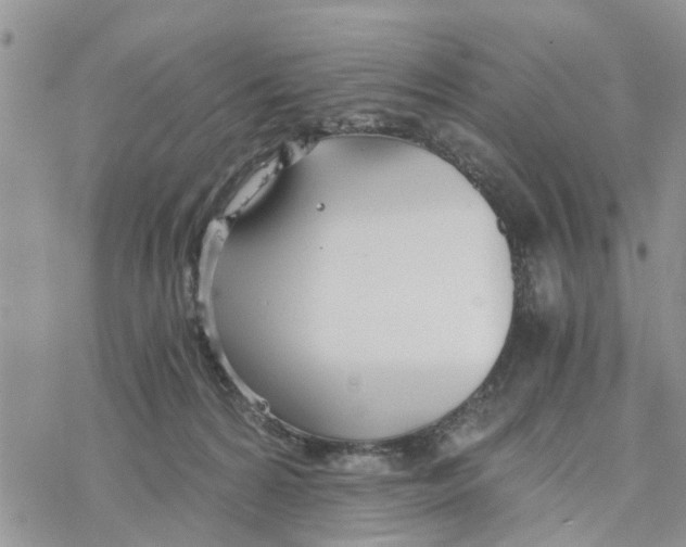 X0000078260224200611251336