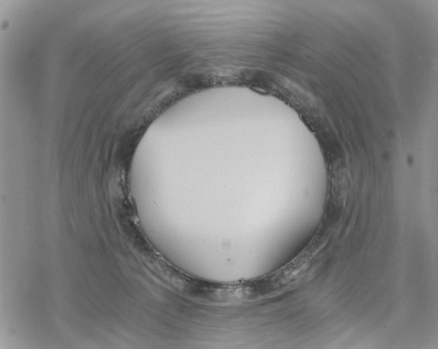 X0000078260225200611251336