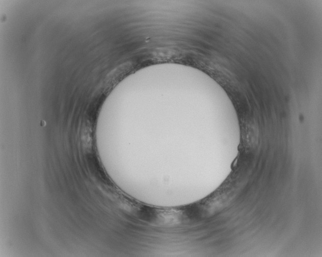 X0000078260226200611251336