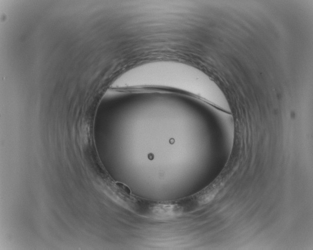 X0000078260227200611251336