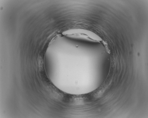 X0000078260228200611251336