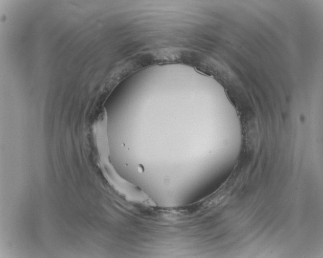 X0000078260229200611251336