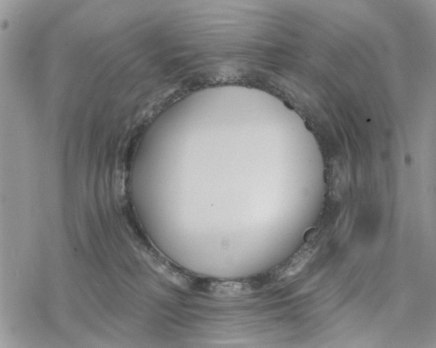 X0000078260230200611251336