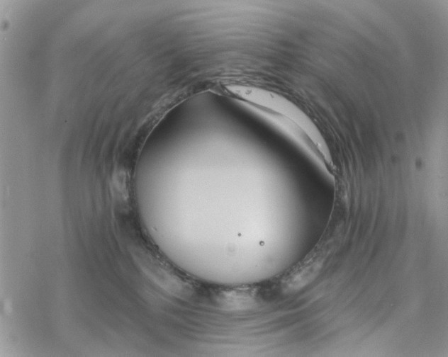 X0000078260232200611251336