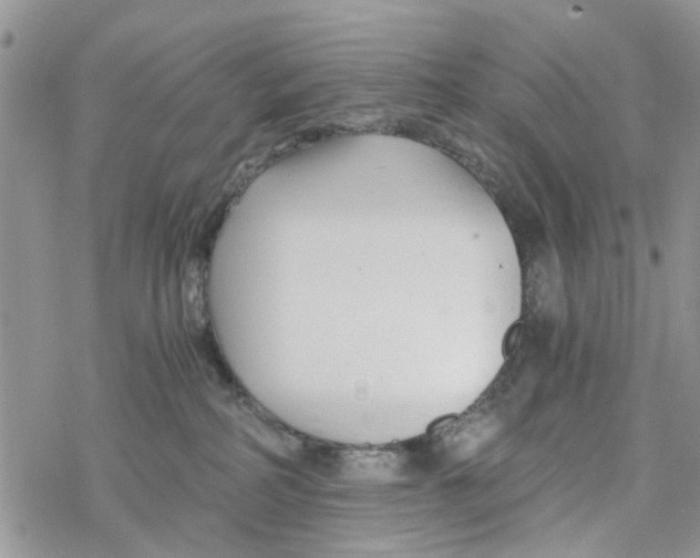 X0000078260234200611251336