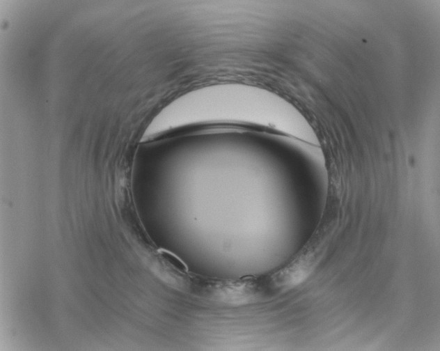 X0000078260235200611251336