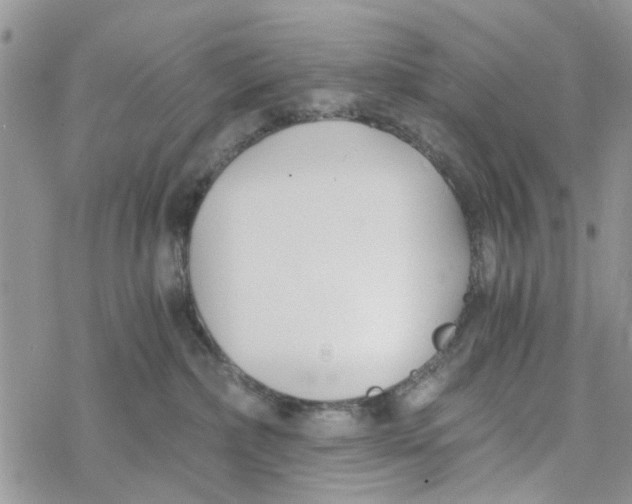 X0000078260236200611251336